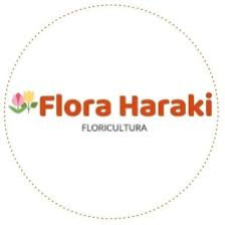 Flora Haraki Iguapé SP